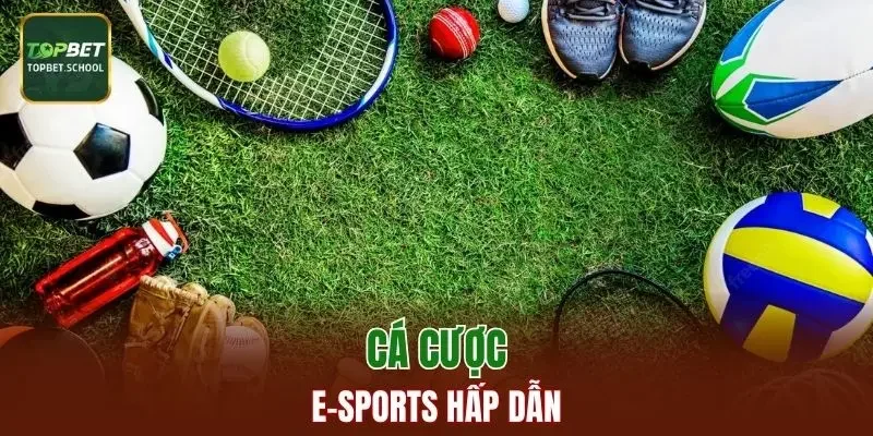 Cá cược E-sports hấp dẫn