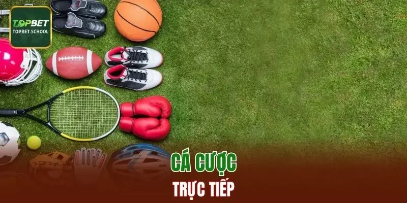 Cá cược trực tiếp tại thể thao TOPBET