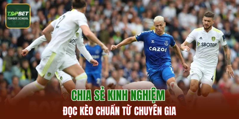 Chia sẻ kinh nghiệm đọc kèo chuẩn từ chuyên gia