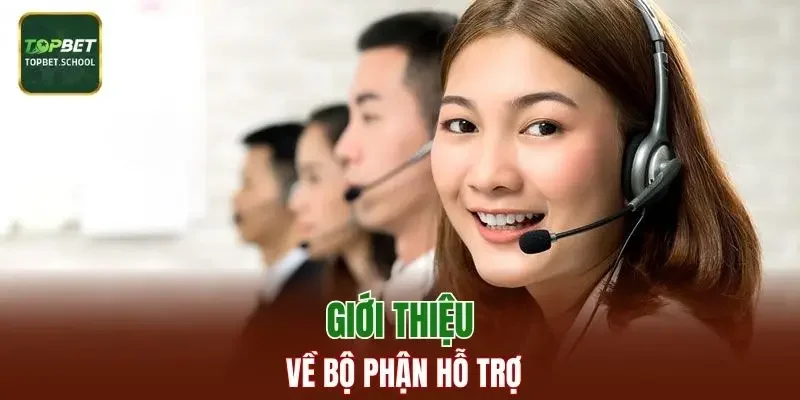 Giới thiệu về bộ phận hỗ trợ
