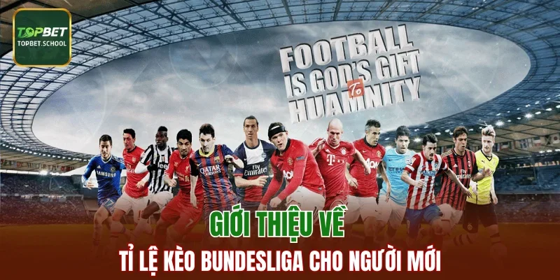 Giới thiệu về tỉ lệ kèo Bundesliga cho người mới