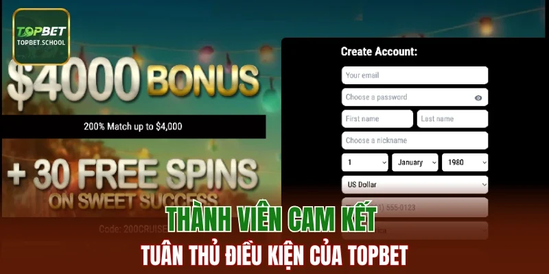 Thành viên cam kết tuân thủ điều kiện của TopBet