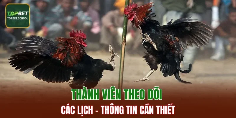 Thành viên theo dõi các lịch - thông tin cần thiết
