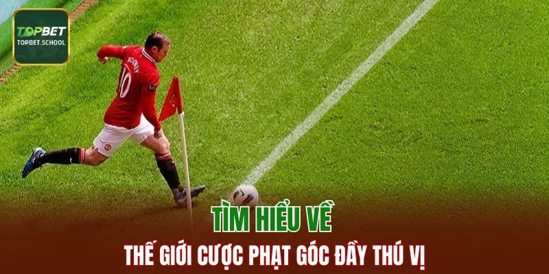 Tìm hiểu về thế giới cược phạt góc đầy thú vị